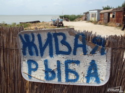 Самый большой водоем Одесской области получил последний шанс на спасение (ФОТОРЕПОРТАЖ)