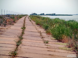 Самый большой водоем Одесской области получил последний шанс на спасение (ФОТОРЕПОРТАЖ)