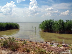 Самый большой водоем Одесской области получил последний шанс на спасение (ФОТОРЕПОРТАЖ)