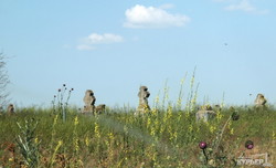 Старинное кладбище в Одесской области рушится: из земли торчат гробы и кости (ФОТО)