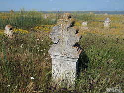 Старинное кладбище в Одесской области рушится: из земли торчат гробы и кости (ФОТО)