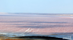 Куяльницкий лиман стал розовым, а на берегах появилась соленая пена (ФОТО)