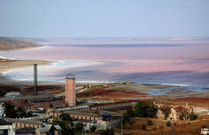 Куяльницкий лиман стал розовым, а на берегах появилась соленая пена (ФОТО)