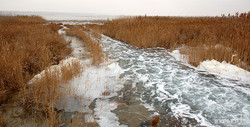 Куяльник снова наполняют морской водой: мнения одесских ученых разделились (ФОТО)