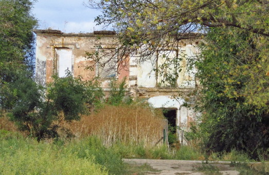 Спасите умирающие памятники Одесской области: имение Марини в Мологе (ФОТО)