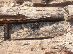 Новые находки при реставрации Колоннады: помещение внутри, снаряды и бензобак