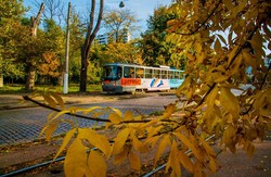 В Одессе закончилась золотая осень (ФОТО)