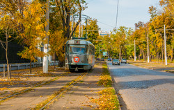 В Одессе закончилась золотая осень (ФОТО)