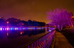 Парк Победы и его пруды украшены яркими огнями (ФОТО)