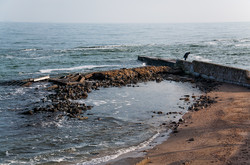 Красивое январское море в Одессе (ФОТО)