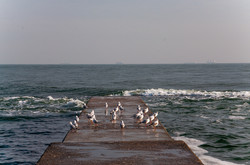 Красивое январское море в Одессе (ФОТО)