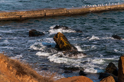 Красивое январское море в Одессе (ФОТО)