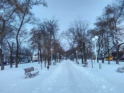 Весь юг Одесской области засыпало снегом (ФОТО)