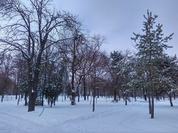 Весь юг Одесской области засыпало снегом (ФОТО)