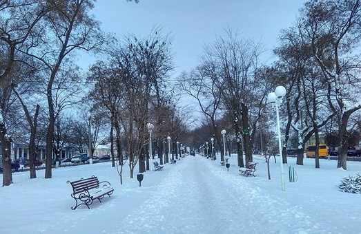 Весь юг Одесской области засыпало снегом (ФОТО)