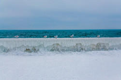 Красота зимних пляжей Одессы: Ланжерон и Отрада во льдах (ФОТО)