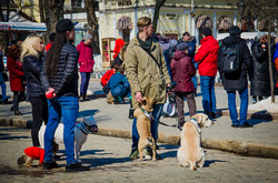 В Одессе впервые состоялся Марш спасённых собак (ФОТО)