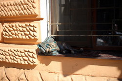 У Всемирного клуба Одесситов поселился кот Морис из семьи Жванецкого (ФОТО)