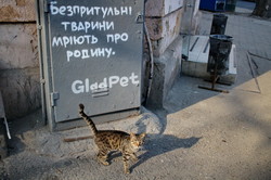 Весенняя безмятежность в Одессе (ФОТО)
