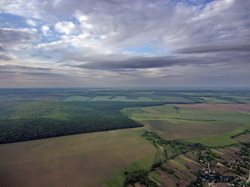 На севере Одесской области гремит этнофестиваль "Кодымафест" (ФОТО, ВИДЕО)