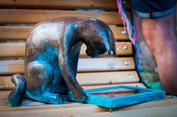 В Одессе появилась новая скульптура кота (ФОТО)