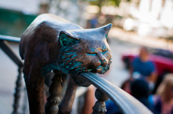 В Одессе появилась скульптура офисного кота  (ФОТО)