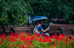 В Одессу пришла осень: в городе пасмурно и дождливо (ФОТО)