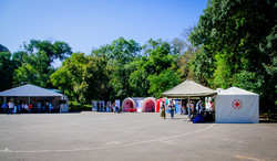 В одесском парке Шевченко проходит фестиваль Здоровья (ФОТО)