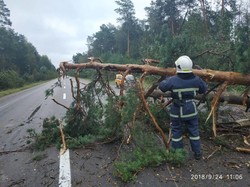 Непогода обрушилась на Одессу и юг Украины: обесточено 205 населенных пунктов (ФОТО, ВИДЕО)
