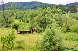 Трансильвания - родина Дракулы и пейзажи румынских Карпат (ФОТО)