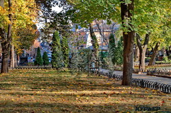 Последний день золотой осени в Одессе (ФОТО)