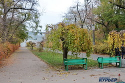 Последний день золотой осени в Одессе (ФОТО)