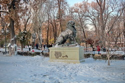 Как выглядит заснеженная снегом Одесса в первый день зимы (ФОТО)