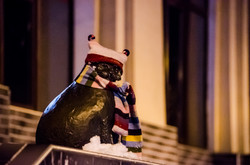 Самые знаменитые коты Одессы оделись в теплые шарфы и шапки (ФОТО)
