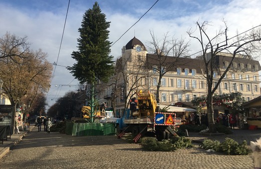 В Одессе устанавливают новогоднюю ёлку (ФОТО)