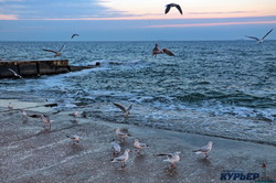 В Одессе море и небо окрасились в необычно яркие цвета (ФОТО, ВИДЕО)