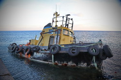 Январское море в Одессе накануне морозов (ФОТО, ВИДЕО)