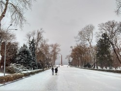 Зимняя Одесса в парке Шевченко (ФОТО)
