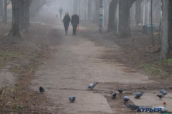 В Одессе ничего не видно из-за тумана (ФОТО, ВИДЕО)