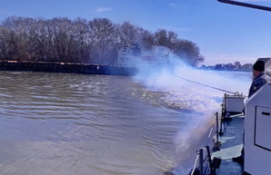 Морские пограничники на Дунае сняли с мели грузовое судно