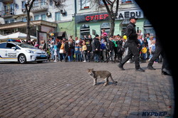 Юморина в Одессе