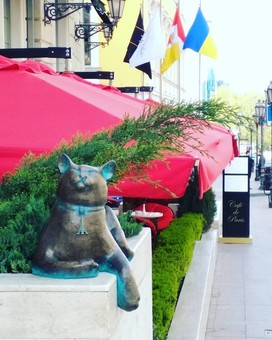 В Одессе установили скульптуру кошки Софы (ФОТО)