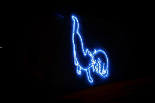 Центр Одессы украсила пара светящихся кошек (ФОТО, ВИДЕО)