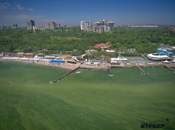 50 оттенков зеленого: в Одессе зацвело море (ФОТО, ВИДЕО)