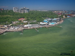 50 оттенков зеленого: в Одессе зацвело море (ФОТО, ВИДЕО)