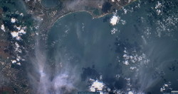 Море у побережья Одессы уже очищается от водорослей (ФОТО)