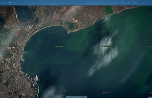 У побережья Одессы море "цветет" сильнее всего в порту (ФОТО)