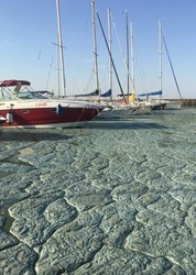 Последний этап многолетней войны за активы Руслана Тарпана в Одессе