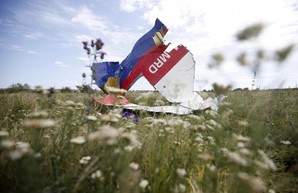 Кремль скупает мнение Малазийских политиков в деле МН-17