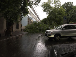 Непогода натворила бед в Одессе, есть пострадавшие